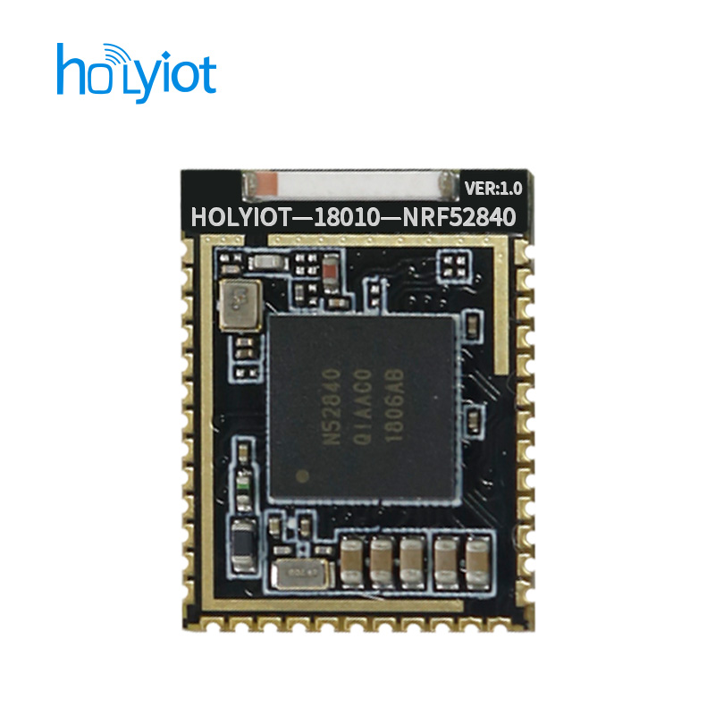 Holyiot long range Nordic nRF52840 chipset  module Ceramic Antenna 