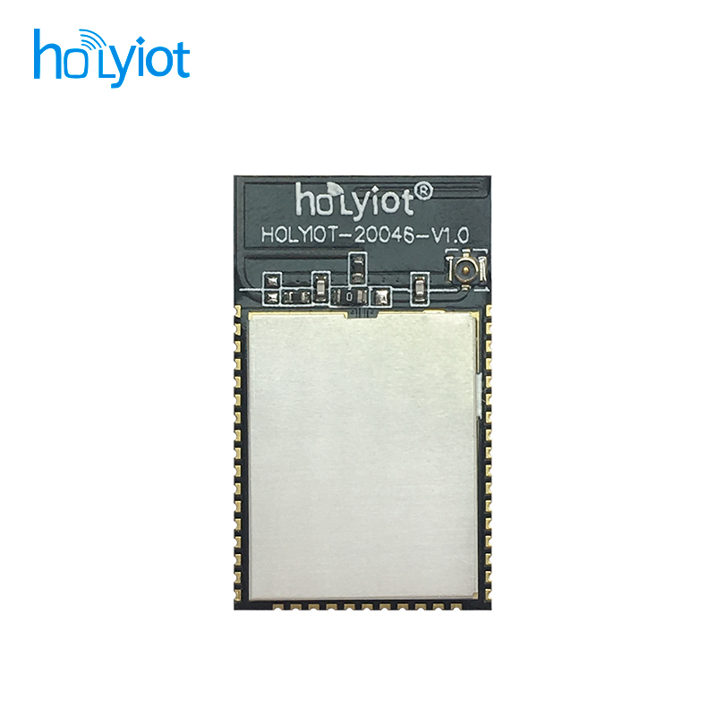 Holyiot nRF5340 module
